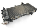 BMW F 800 St [2006] - Cooler de resfriador de água-2