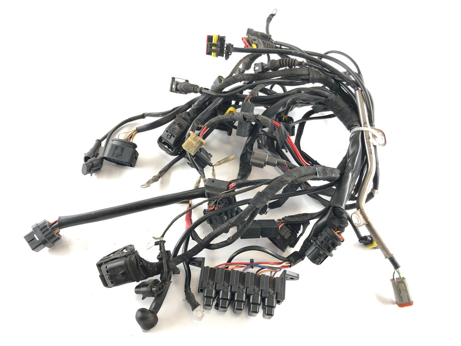Ducati Multistrada 1000 DS [2003] - Firação de cabos principais Tree Cable Tree
