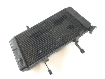 Suzuki DL 1000 V -Strom [2006] - Cooler de água fria - 0