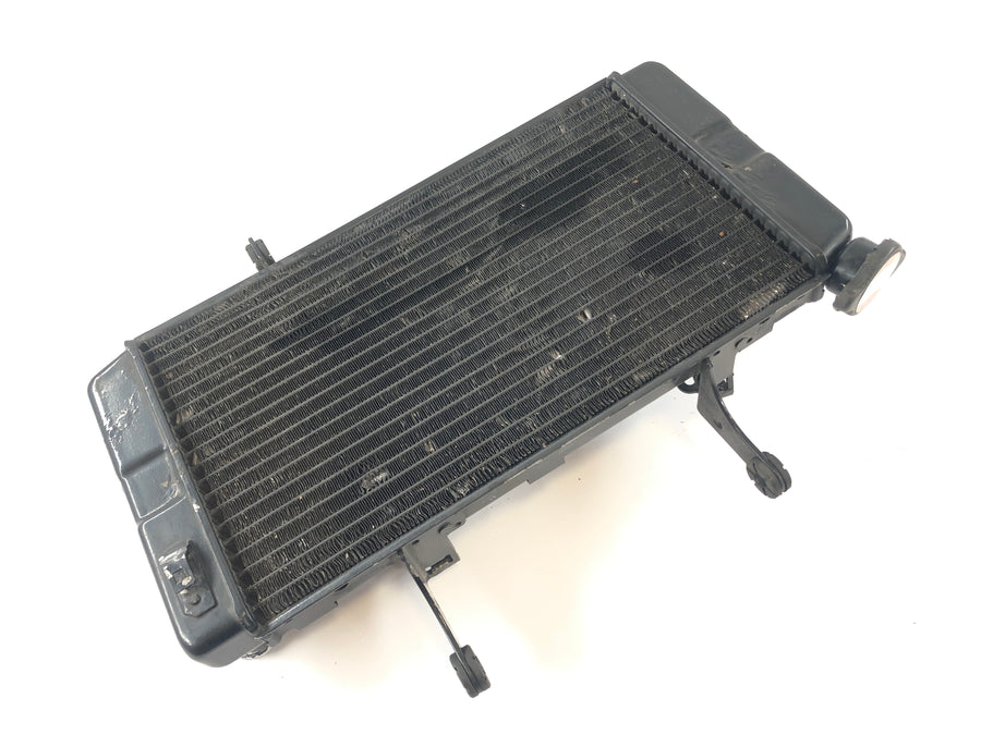 Suzuki DL 1000 V -Strom [2006] - Cooler de água fria