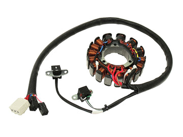 POLARIS 800 ASSAULT RMK [2009-2010] - Estator para Polaris 600/700/800
