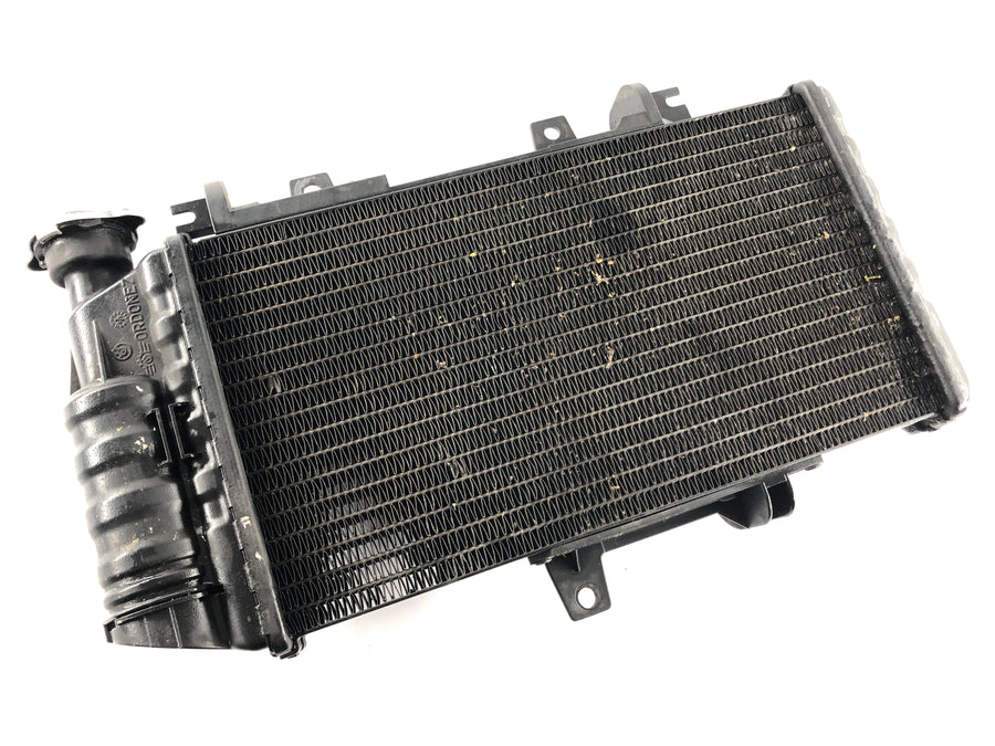 BMW F 800 S [2007] - Cooler de água fria