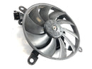 Kawasaki VN 900 Classic [2010] - fã do Cooler Fan-2