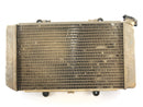 Yamaha Grizzly 660 AM03W [2003] - Cooler de água fria-1