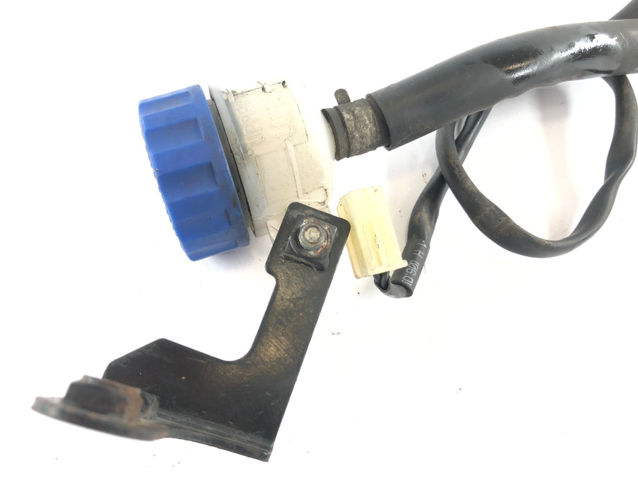 Yamaha WR 125 R DE07 [2016] - Bomba de freio na bomba de freio do pé traseiro