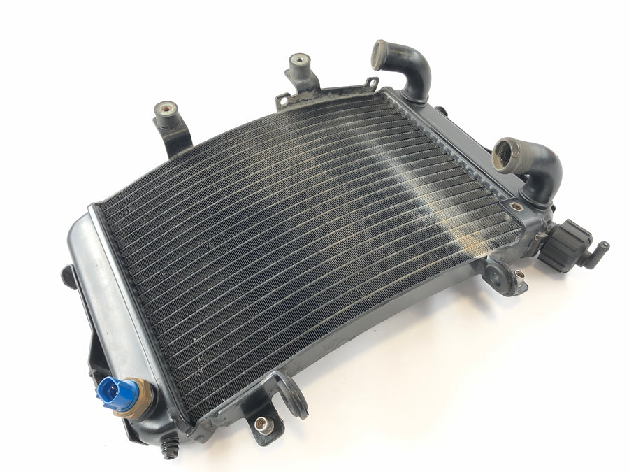 KTM Duke 690 A3 [2012] - Cooler de água fria