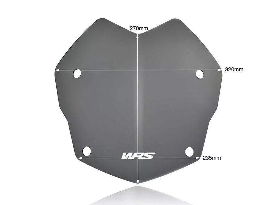 BMW R 1200 R [WRS] – pára-brisa