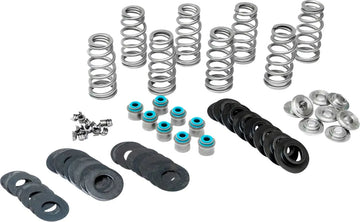 Harley-Davidson Fxlrs 1923 ABS [2026] - High Load Beehive® Federnsatz – Bild 1