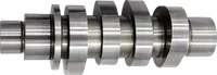 Harley-Davidson FLSTFI 1923 Softail Fat Boy Gray Ghost 117 [2025] - Nockenwellen-Kit – Typ: Gear Drive – Bild 8