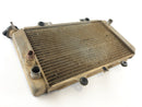 Yamaha Grizzly 660 AM03W [2003] - Cooler de água fria-4