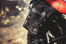 BMW R nineT 1200 Urban G/S (hoher Auspuff) [2017-2023] - 22L-30L Scram Satteltasche aus Spaltleder + Rahmen der NineT Serie