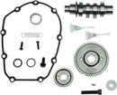 Harley-Davidson FLTRT 1868 Road Glide 3 114 [2025] - 465 Nockenwellen-Kit – Typ: Getriebezahnrad – Bild 6