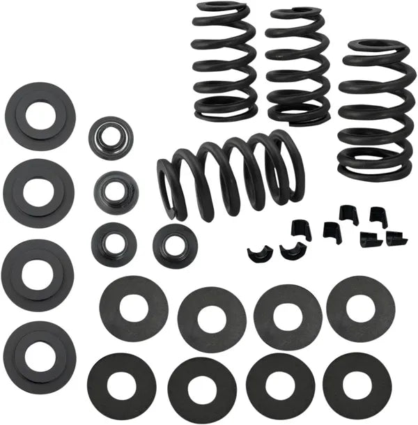 Harley-Davidson XR 1200 [2008-2010] - 0,585" Ventilfedersatz – Bild 2