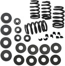 Harley-Davidson XR 1200 [2008-2010] - 0,585" Ventilfedersatz – Bild 2