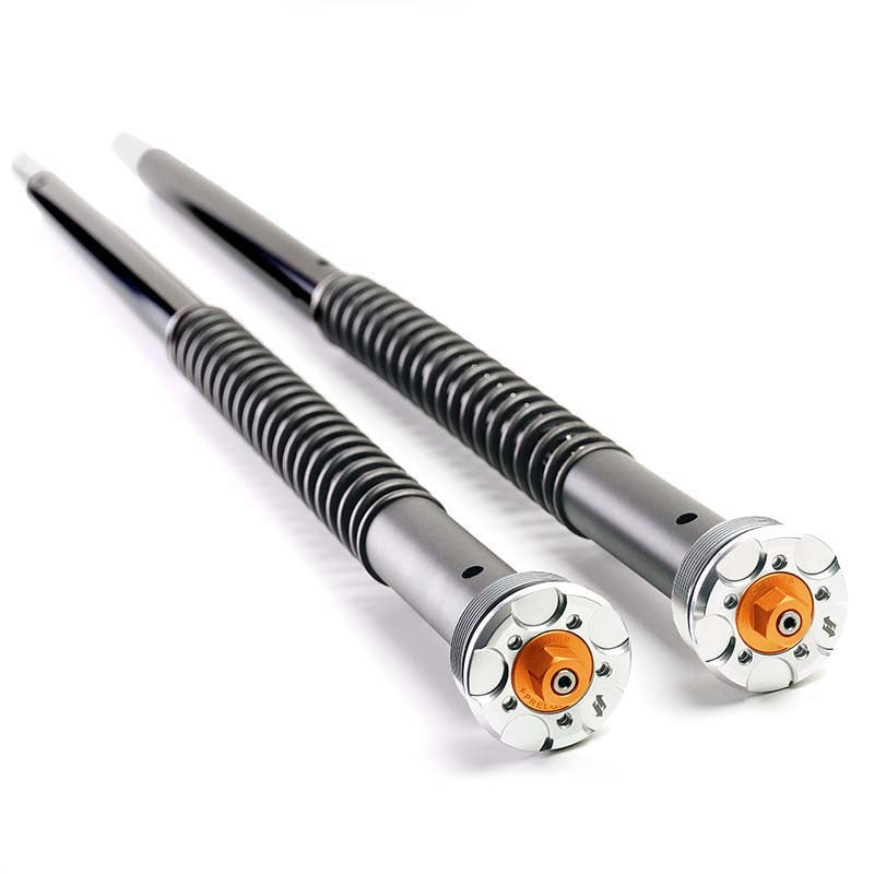 BMW R nineT 1200 Urban G/S (hoher Auspuff) [2017-2023] - Gabelkartuschen (Standardhöhe)