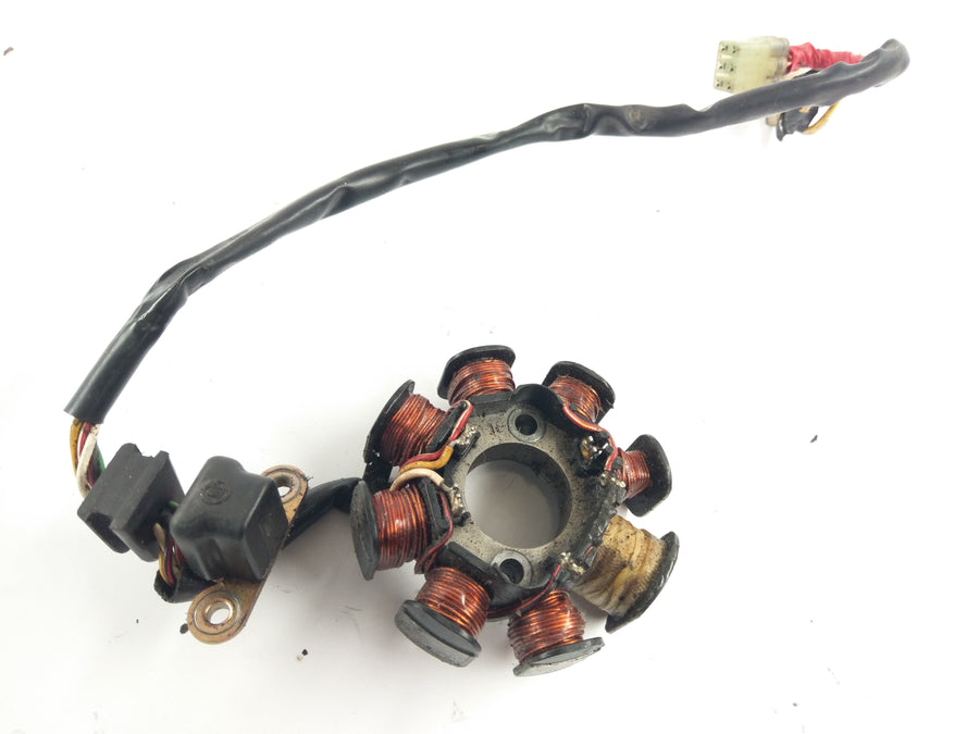 Husquvarna TE 250 H8 [2004] - Stator de alternador com coleta