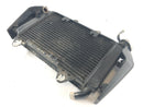 KTM Duke 125 [2011] - Cooler de água fria-4
