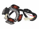 Aprilia Rs 250 [101 Octanne] -Alternator lojas-1