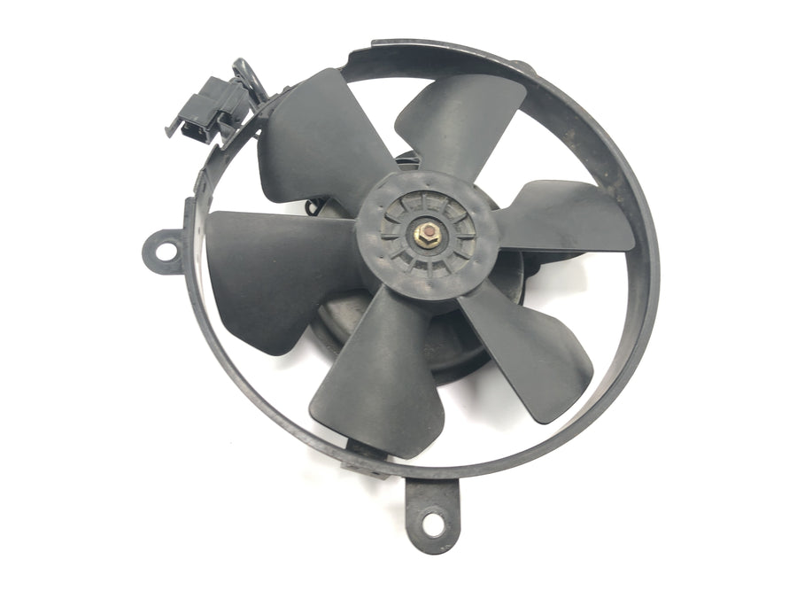 Honda CBR 900 RR Fireblade SC33 [2000] - Ventilador elétrico da roda do radiador