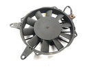 Triumph Daytona 900 T300 [1996] - Ventilador do radiador-2