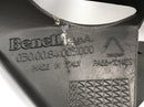 Benelli TNT 1130 [2009] - Tampa traseira do radiador-3