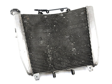 Aprilia RSV4 1000 [2010] - Cooler de água