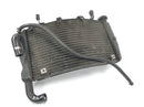 Ducati 999 H4 [2003] - Radiator de refrigerador de água fria-6