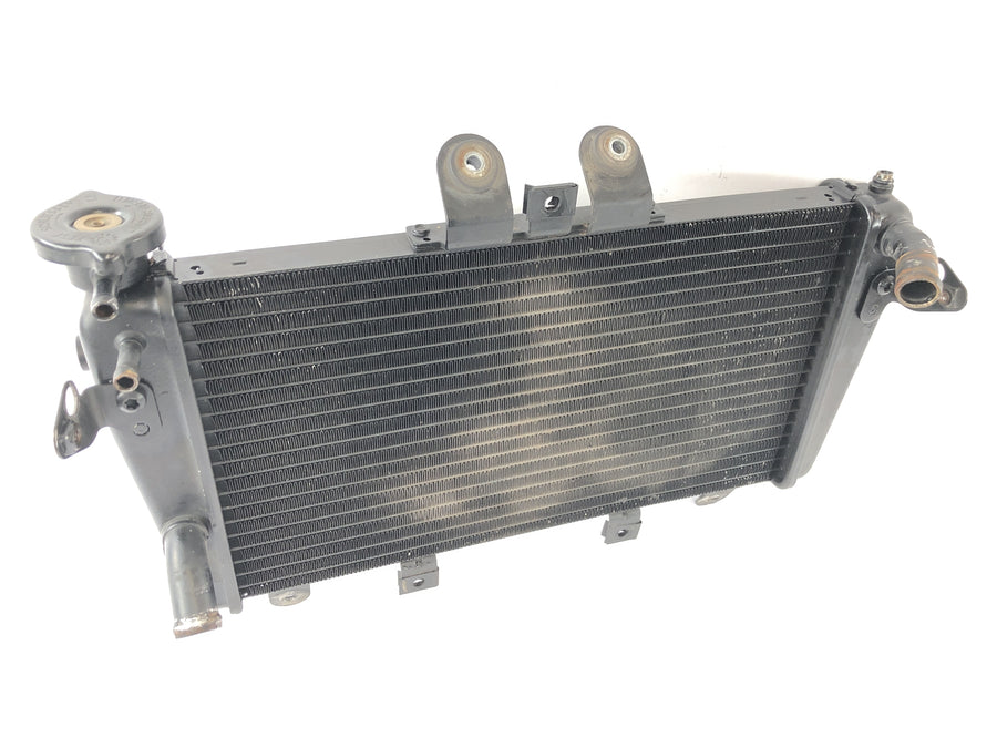 Triumph Speed Triple 1050 515NJ [2007] - Trocador de calor do radiador da motocicleta