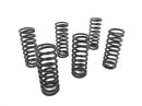 Ducati 900 SS [1991] - Conjunto de Springs de acoplamento-1