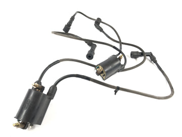 Kawasaki VN 1600 Mean Streak VNT60B [2005] - Conjunto de bobinas de ignição Casal com plugue de ignição - 0