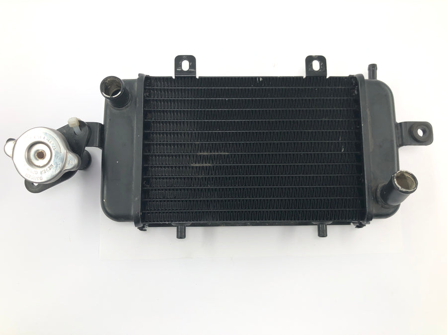 BMW C1 125 [2002] - Refrigerador de água do radiador, sistema de refrigeração do radiador com gargalo de enchimento