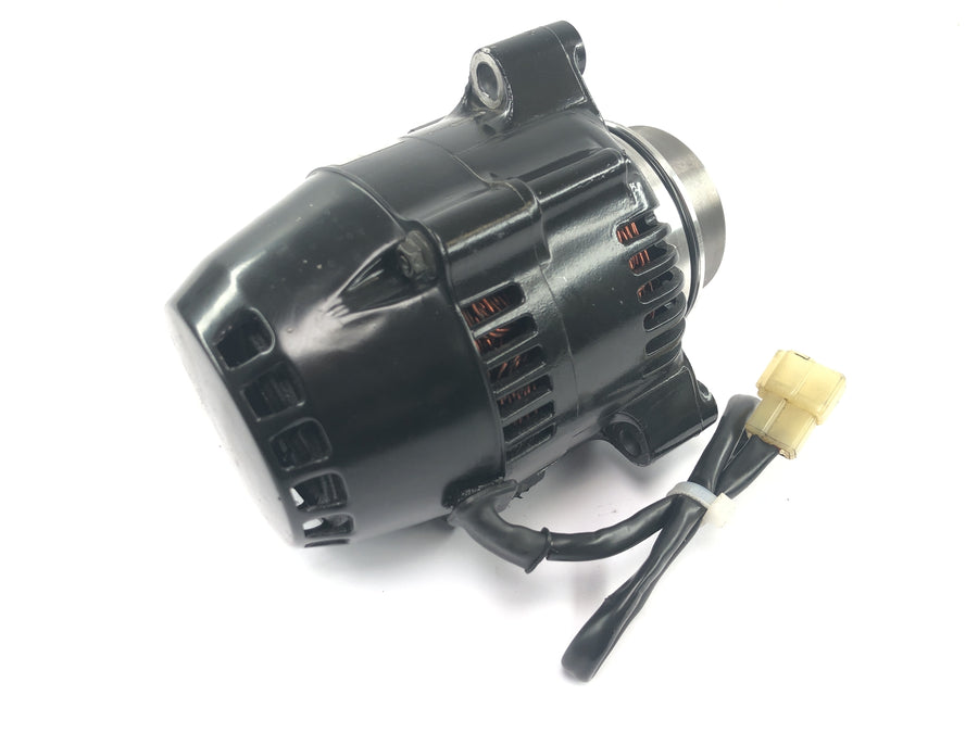 Triumph Daytona 1200 T300D [1994] - Gerador Alternador Nippondenso