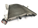 Suzuki GSX R 1000 WVB6 K6 [2006] - Rede de radiadores do sistema de refrigeração do refrigerador de água do radiador-3