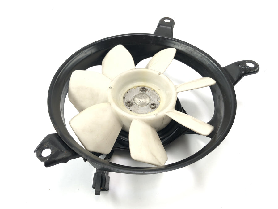 Triumph Daytona 955i T595N [2003] - Motor de ventilador do Cooler Fan