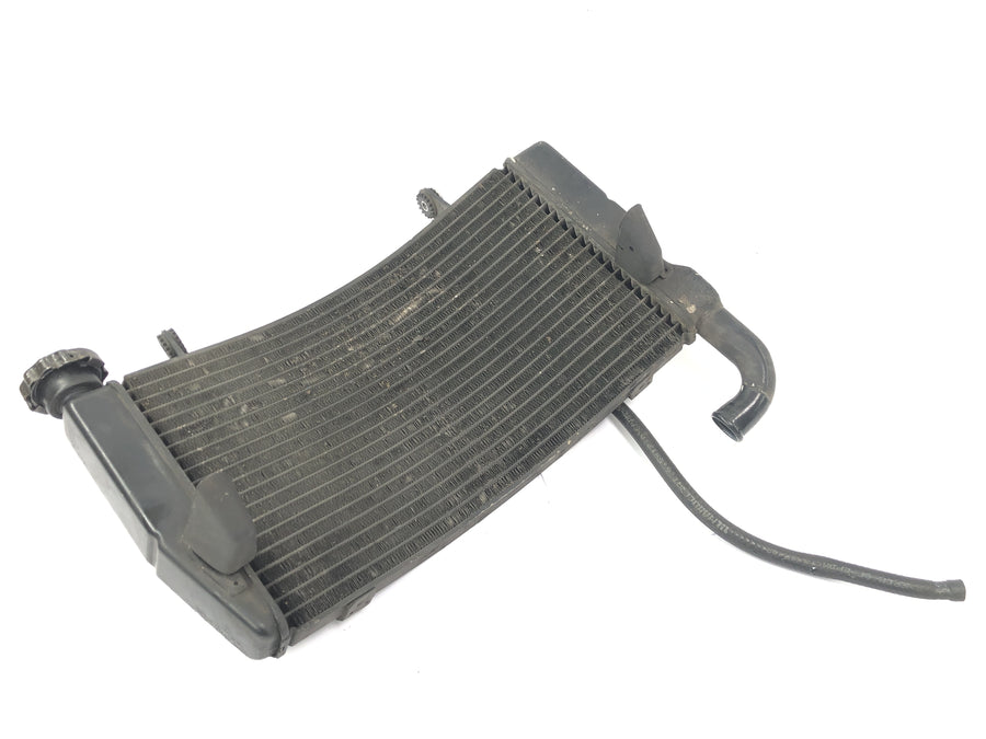 Ducati 999 H4 [2003] - Radiator de refrigerador de água fria