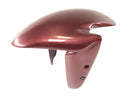 Benelli TNT 1130 [2009] - Guarda-lamas dianteiro-1