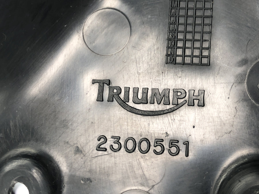 Triumph Daytona 900 T300D [1996] - par de carenagens internas