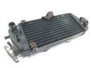 Beta RR 125 [2018] - Par de conjunto refrigerador de água do radiador-4