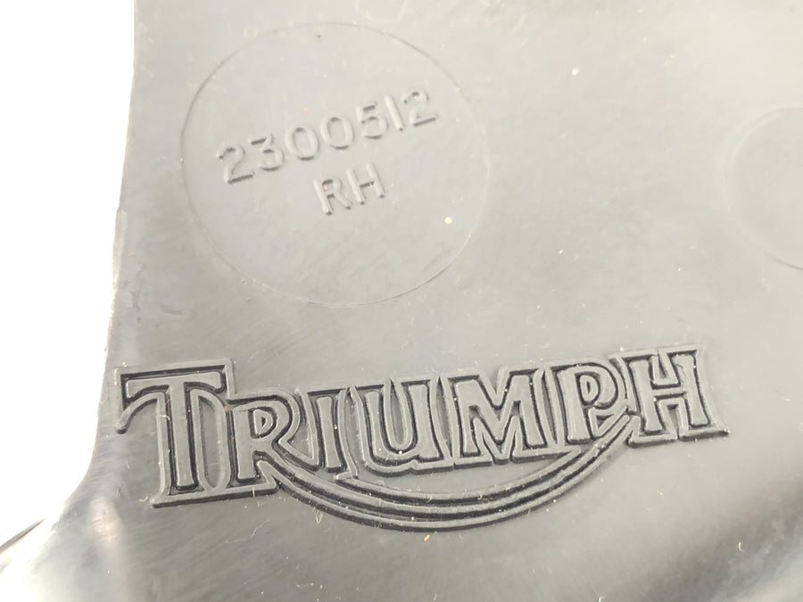 Triumph Daytona 900 T300 [1993] - Proteção do motor revestimento de cascas de motor esquerda e direita