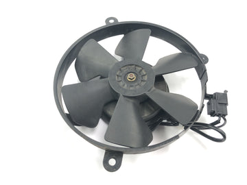Honda CBR 900 RR Fireblade SC33 [2000] - Ventilador elétrico da roda do radiador - 0