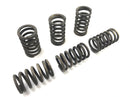 Ducati 900 SS [1991] - Coupling Springs-1
