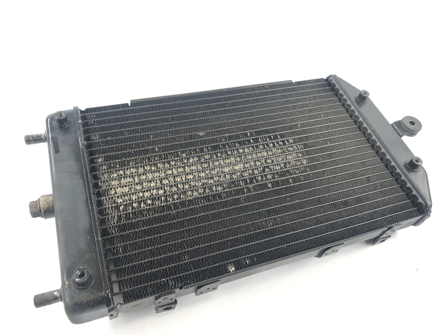 Kawasaki VN 1600 Mean Streak VNT60B [2005] - Cooler de água
