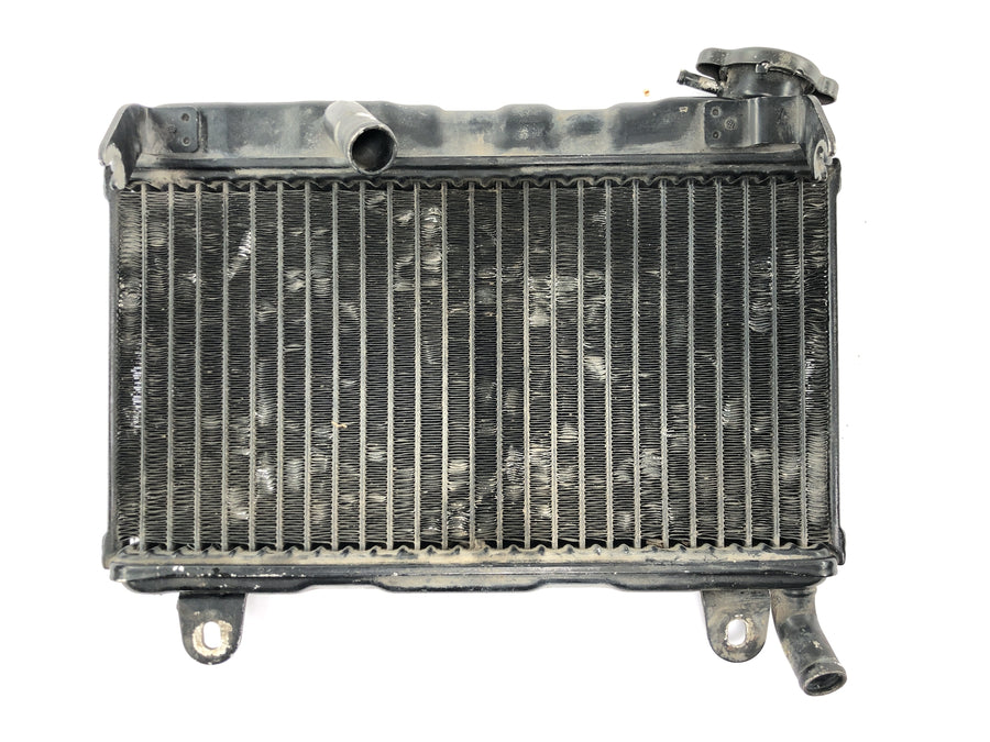 Suzuki RG 250 Gamma GJ21D [1987] - Sistema de refrigeração do refrigerador de água do radiador