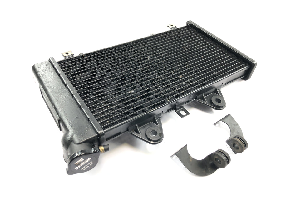 Triumph Daytona 1200 T300D [1994] - Rede de radiadores do sistema de refrigeração do refrigerador de água do radiador