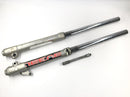 Yamaha TT 600 R DJ01 [1998] - Fork de suspensão Telegabel com eixo-1