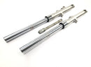 Kawasaki VN 1500 Classic VNT50D [2001] - Fork Fork Fork Telegabel com eixo dianteiro-1