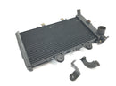 Triumph Daytona 1200 T300D [1994] - Rede de radiadores do sistema de refrigeração do refrigerador de água do radiador-4