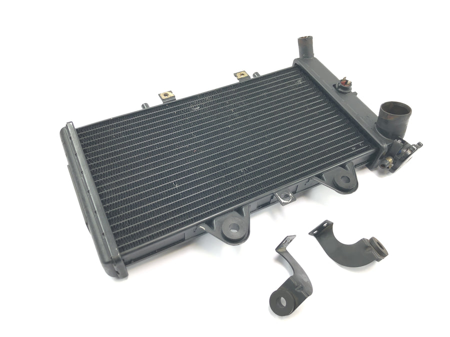 Triumph Daytona 1200 T300D [1994] - Rede de radiadores do sistema de refrigeração do refrigerador de água do radiador