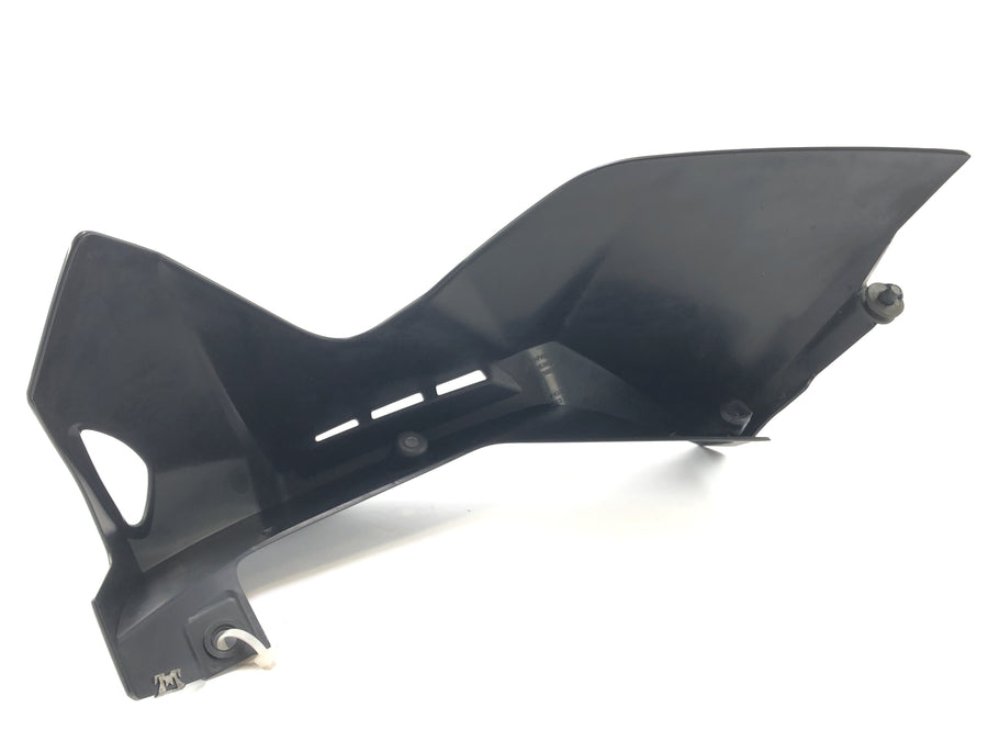 BMW K 1300 R K12S [2014] - Disfarce direito