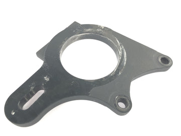TRIUMPH DAYTONA 955I T595 [1998] - Placa de ancoragem do freio - 0